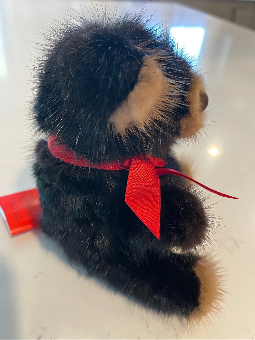 Rare Bear excellent about